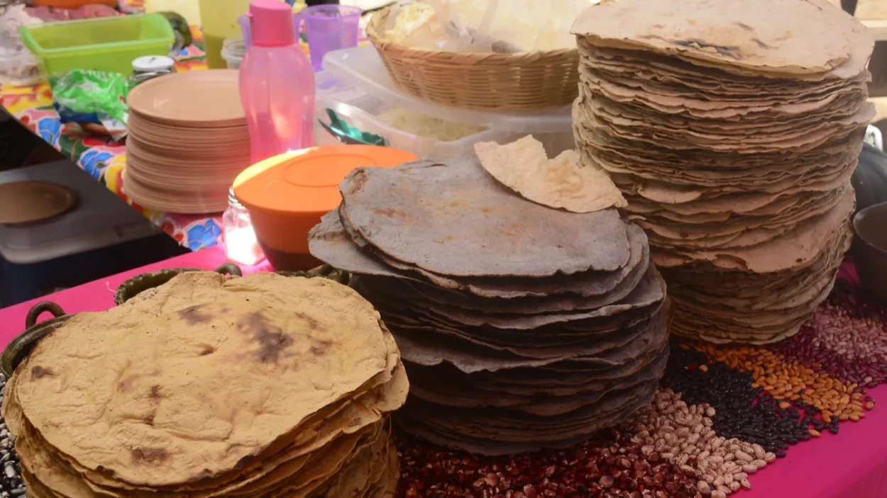mexican traditional corn huge tortilla for tlayuda an ethnic food