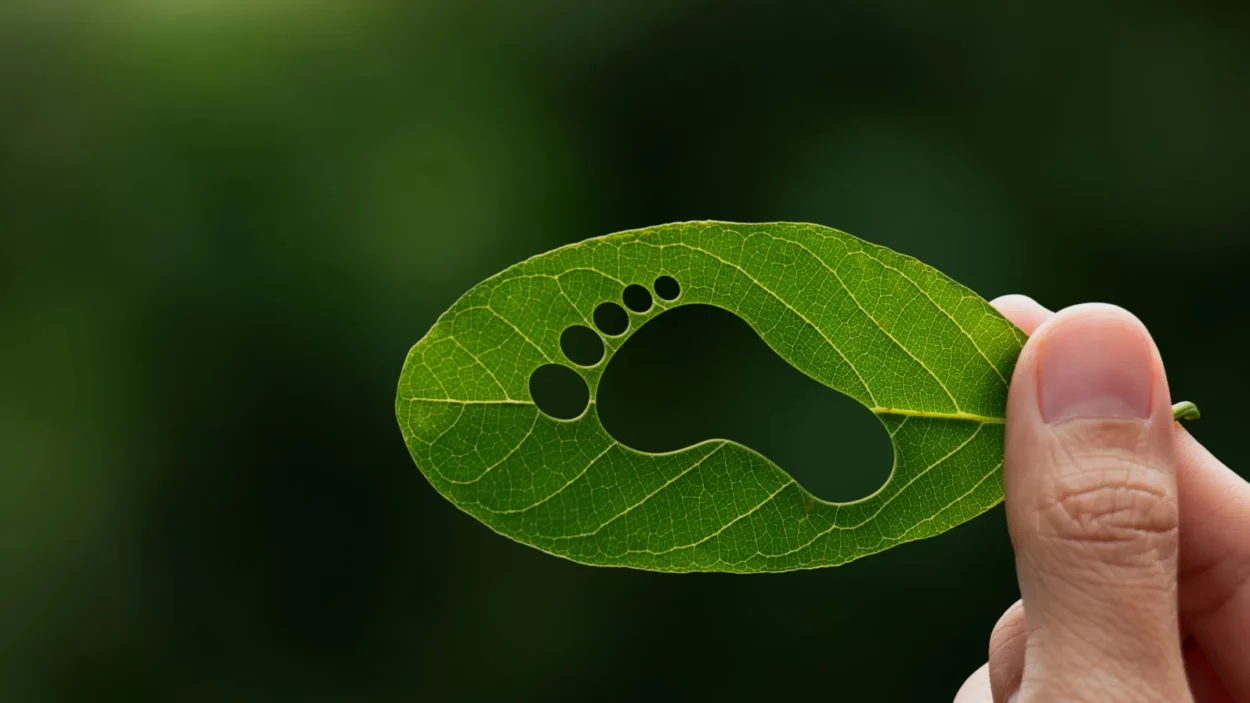 Hand of human is holding green leaf with carbon footprint.
