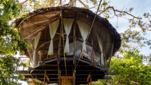 Wooden treehouse.